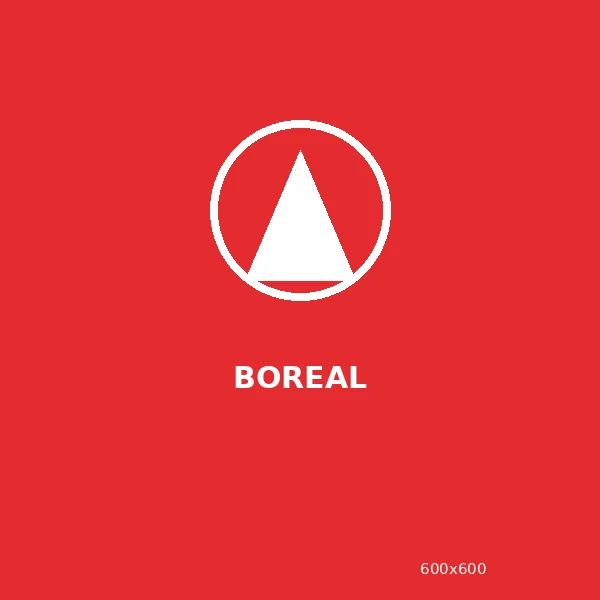 Boreal Tool placeholder logo tile, 600 by 600 pixels
